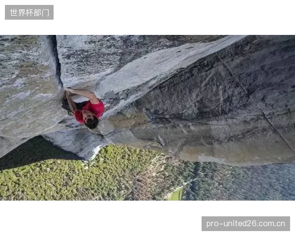 对50家大型攀岩馆的追踪研究发现,部署高耐磨标定点(Holds)平均每年为每家场馆节约了超过500小时的检查与更换工时 对50家大型攀岩馆的追踪研究发现,部署高耐磨标定点(Holds)平均每年为每家场馆节约了超过500小时的检查与更换工时
